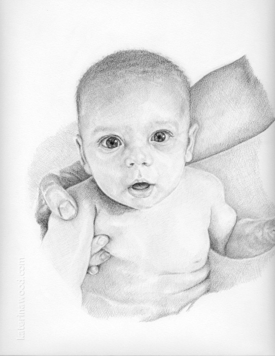 Antonio, with the mount and frame. Pencil drawing by Katerina Wood